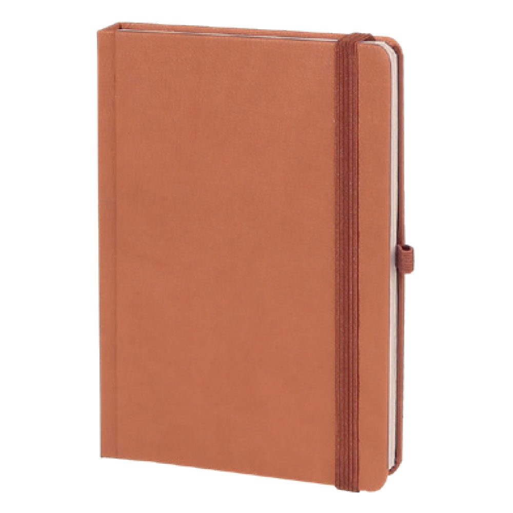 AKDERE TABA TARİHLİ AJANDA (15X21 CM) isimli ürünün 1. resmi